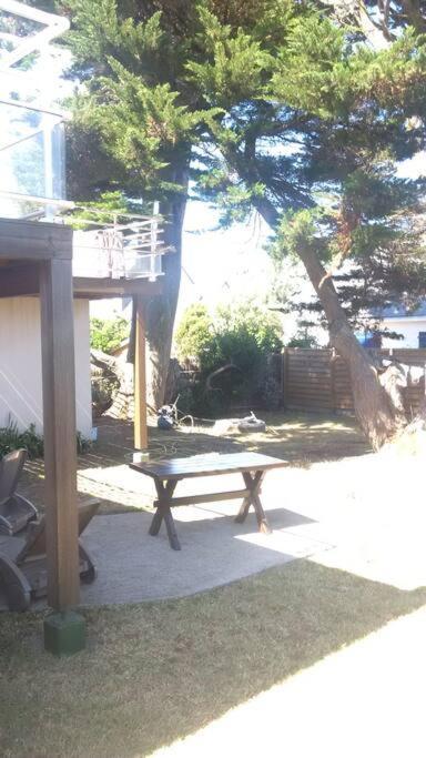 53 M2 En Rdc Maison, Jardin, A 50 M